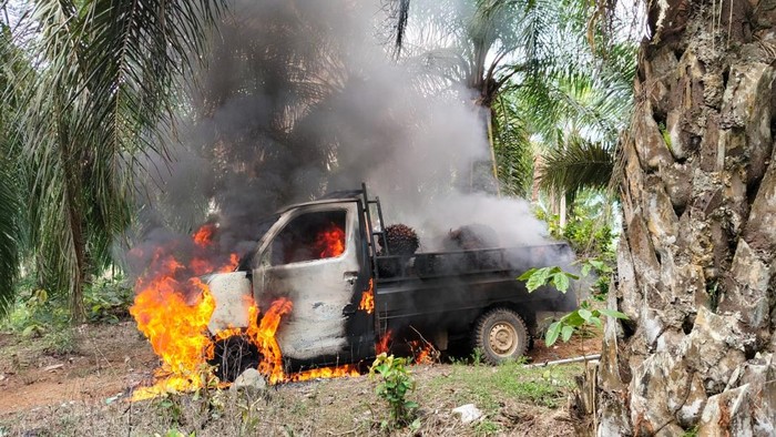 1761348023664-mobil-pencuri-sawit-dibakar-massa-1761309470657_169
