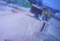 1761391970649-pekerja-pabrik-tewas-terlindas-kendaraan-berat-1761362941752_169