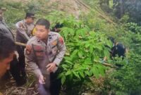 1761543388045-polisi-saat-mengevakuasi-potongan-tubuh-bayi-yang-diduga-dimutilasi-dan-dibuang-di-bibir-ngarai-sianok-kota-bukittinggi-antara-1761448137341_169
