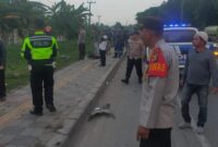 1761565165565-kecelakaan-di-palembang-1761543484682_169