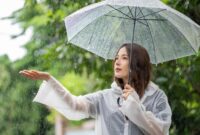 1761780155160-ilustrasi-hujan_169