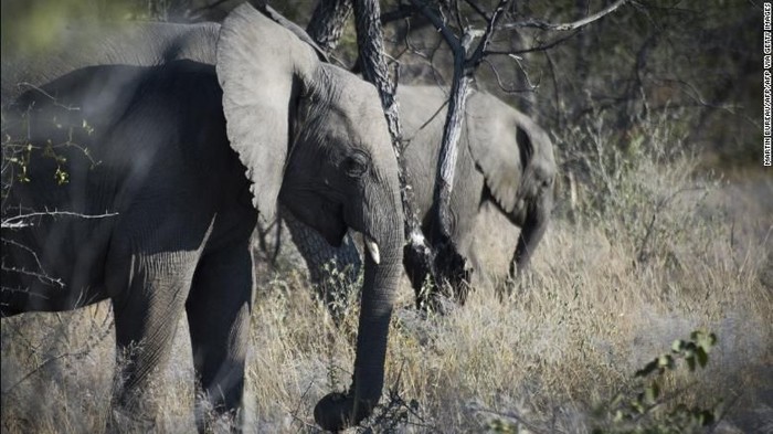 1761824682652-574c9ba1-3791-403e-ad3d-6789bb08eeaa_169