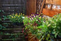 1761866508399-ilustrasi-tanaman-terkena-hujan_169