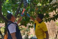 1761910833966-polisi-olah-tkp-lokasi-bunuh-diri-yang-dilakukan-pria-di-lubuklinggau-1761890731632_169