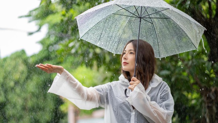 1761952980256-ilustrasi-hujan_169