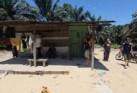 1761996629189-tangkapan-layar-rumah-korban-yang-diserang-gajah-foto-dok-polsek-rumbai-1761825262387_169