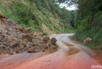 1762407563041-760a639c-39db-42c4-9617-4f36eae17a9d_169