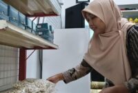 1762429556622-ukmk-1762403793949_169