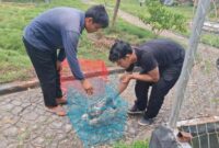 1762515477366-penyitaan-hewan-1762506783518_169