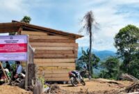 1762666786741-kawasan-hutan-di-bengkulu-yang-diamankan-kemenhut-1762602334263_169