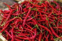 1762709670973-cabai-merah-keriting-1751433088956_169