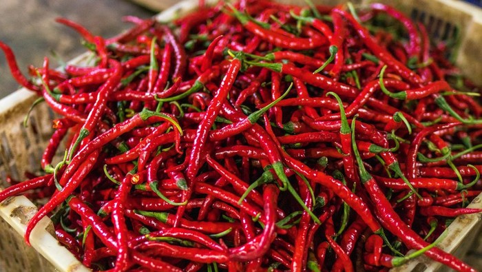 1762709670973-cabai-merah-keriting-1751433088956_169