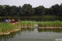 1763033922343-intip-budidaya-padi-apung-karya-ups-badan-air-3_169