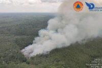 1763120206276-tim-pemadam-karhutla-di-sumsel-lakukan-water-bombing-1756097524642_169