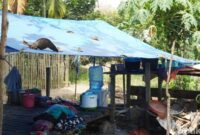 1763120228295-potret-sudung-gubuk-tempat-tinggal-orag-rimba-di-desa-mentawak-merangin-1763097778368_169