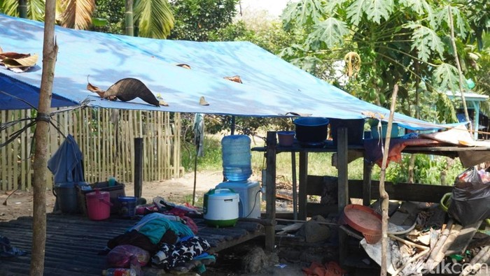 1763120228295-potret-sudung-gubuk-tempat-tinggal-orag-rimba-di-desa-mentawak-merangin-1763097778368_169