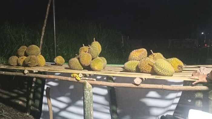 1763358185418-durian-empat-lawang-dijual-di-pinggir-jalan-oleh-petani-1763259559725_169