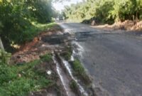 1763444235324-jalan-penghubung-1763382382966_169