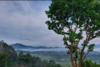 1763444323513-bukti-kukus-bangka-barat-1763385671702_169