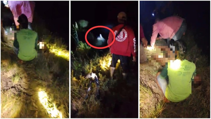 1764133562995-pemancing-di-tulang-bawang-tewas-usai-diserang-buaya-1764078219121_169