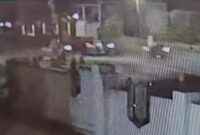 1764263162897-tangkap-layar-pencurian-delapan-motor-di-tulang-bawang-1764238537391_169