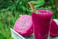 1764392793005-ilustrasi-jus-buah-naga_169