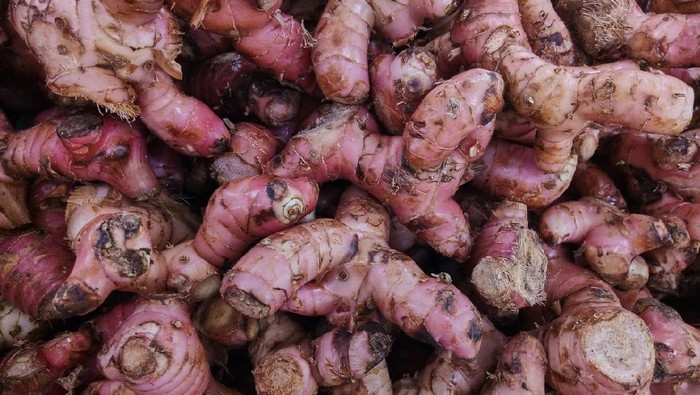 1764392801216-jahe-merah_169