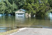 1764479118713-cf089fbe-d525-4744-831e-4f2ddd481264_169