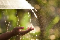 1764479119746-ilustrasi-hujan-1761276974172_169