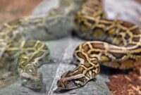 1764522395412-ae6a9d1f-b62e-4cff-a20b-873ef8056d1b_169