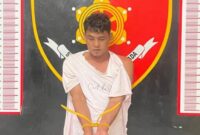 1764760004738-gelapkan-sawit-perusahaan-1764745239767_169