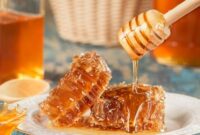 1764824822569-ilustrasi-madu-untuk-luka_169