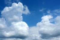 1765062290946-ef5fb211-3b99-40f7-af8a-9a9dafe9a49b_169