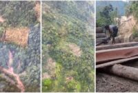 1765127136183-penampakan-hutan-di-pesisir-barat-yang-menjadi-lokasi-pembalakan-liar-1765098725599_169