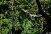 1765170367066-d3be2db7-a812-4bd6-9689-e510c430b980_169