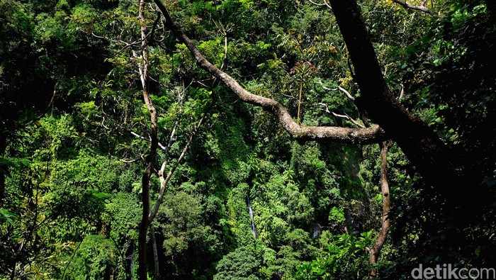 1765170367066-d3be2db7-a812-4bd6-9689-e510c430b980_169