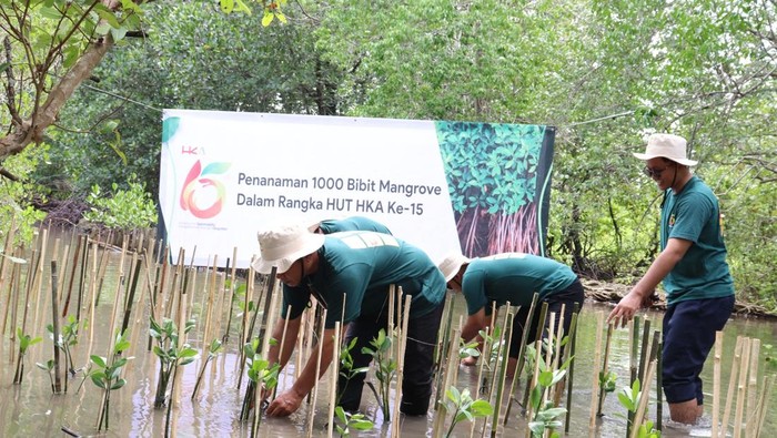1765278370263-penanaman-mangrove-di-lampung-selatan-1765255287099_169