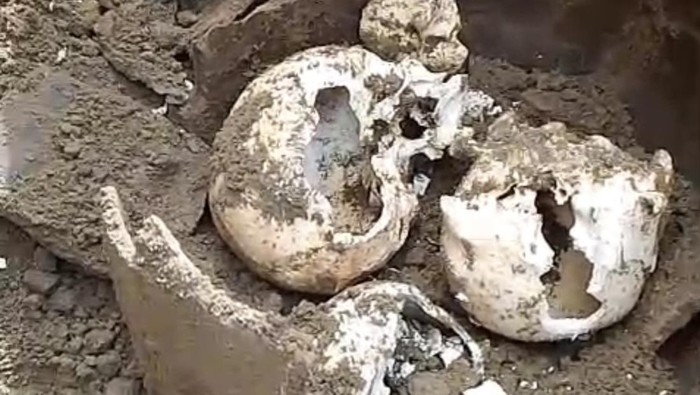 1765386346198-penemuan-tiga-tengkorak-kepala-manusia-di-bengkulu-1765362008140_169