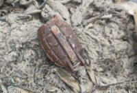 1765429591740-granat-nanas-yang-ditemukan-nelayan-bangka-barat-1765378082423_169