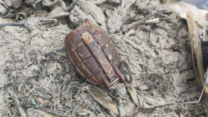 1765429591740-granat-nanas-yang-ditemukan-nelayan-bangka-barat-1765378082423_169