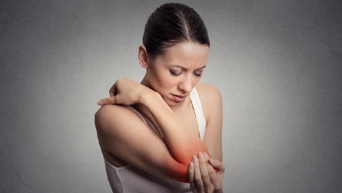 1765472741543-1d1cf756-699d-43f3-a1f4-0d3a110c75e7_169