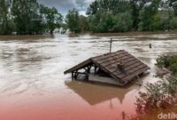 1765537573892-ee586af6-d334-413b-8304-ead675737a51_169