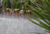 1765559156538-5911c560-06c7-4e37-b096-daf4421553b3_169