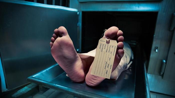 1765623901487-wna-tewas_169