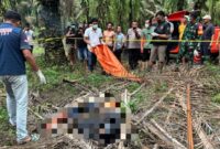 1765645541436-siswa-smk-ditemukan-tewas-membusuk-di-kebun-sawit-tulang-bawang-lampung-1765623926306_169