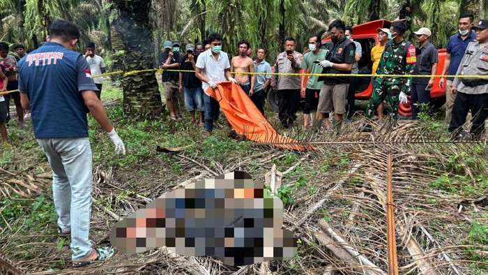 1765645541436-siswa-smk-ditemukan-tewas-membusuk-di-kebun-sawit-tulang-bawang-lampung-1765623926306_169