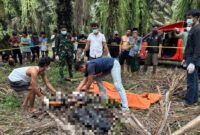 1765645542763-mayat-siswa-smk-di-tengah-kebun-sawit-1765621926862_169