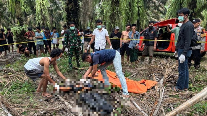 1765645542763-mayat-siswa-smk-di-tengah-kebun-sawit-1765621926862_169