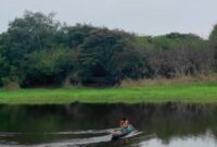 1765688728184-wisata-pinang-banjar-1765625220744_169