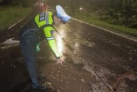 1765710352705-polisi-melakukan-olah-tkp-wanita-lansia-di-palembang-yang-tewas-kecelakaan-tunggal-saat-hindari-lubang-1765705101421_169